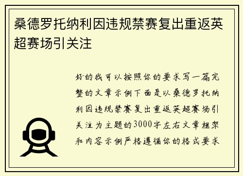 桑德罗托纳利因违规禁赛复出重返英超赛场引关注